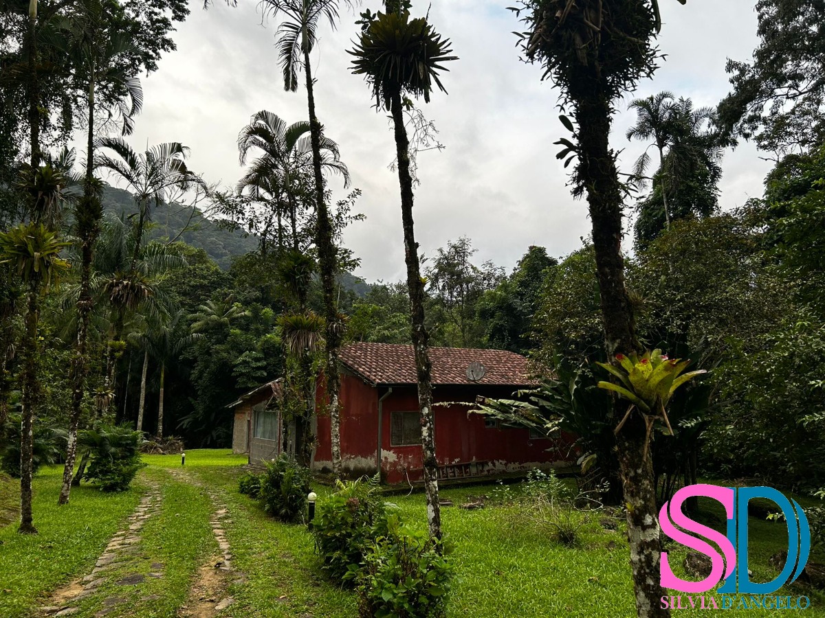 Fazenda à venda com 3 quartos, 500m² - Foto 17