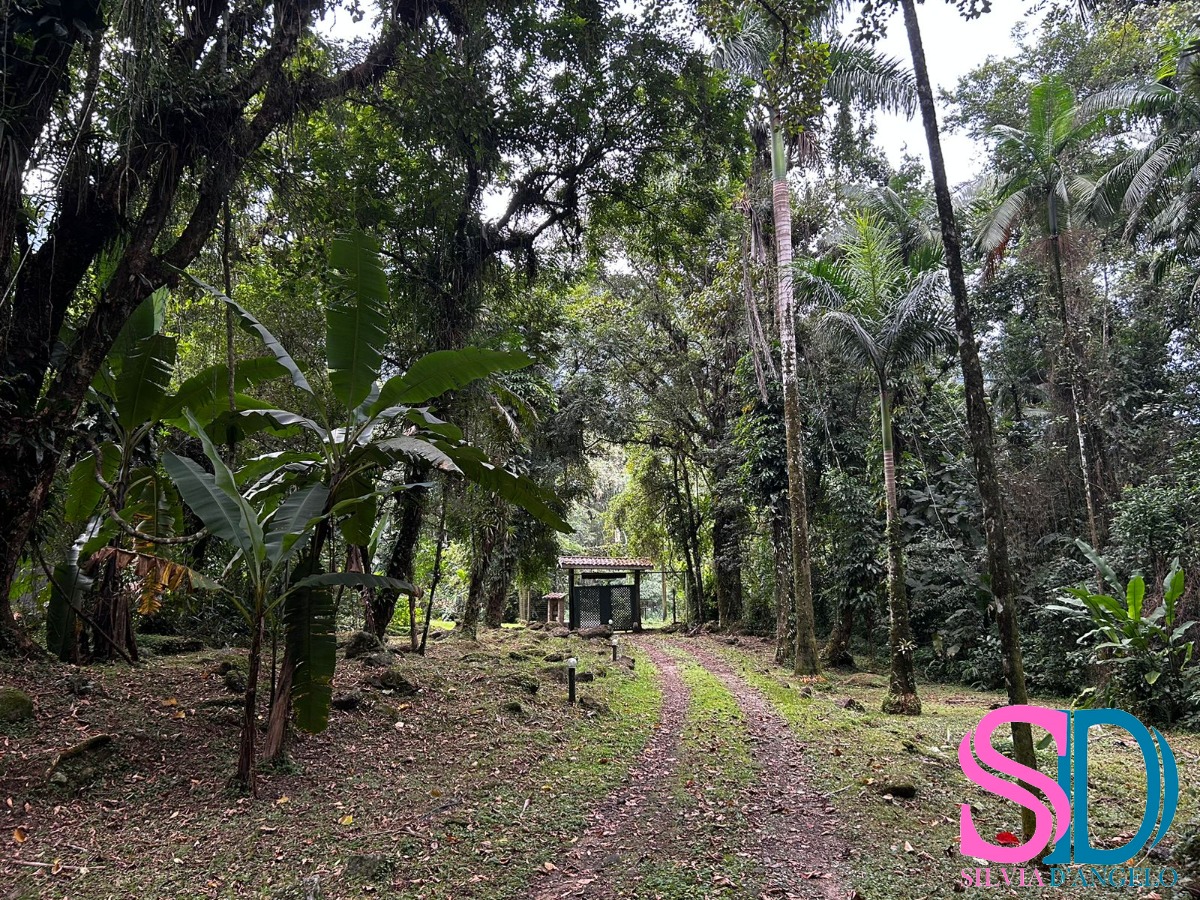 Fazenda à venda com 3 quartos, 500m² - Foto 27