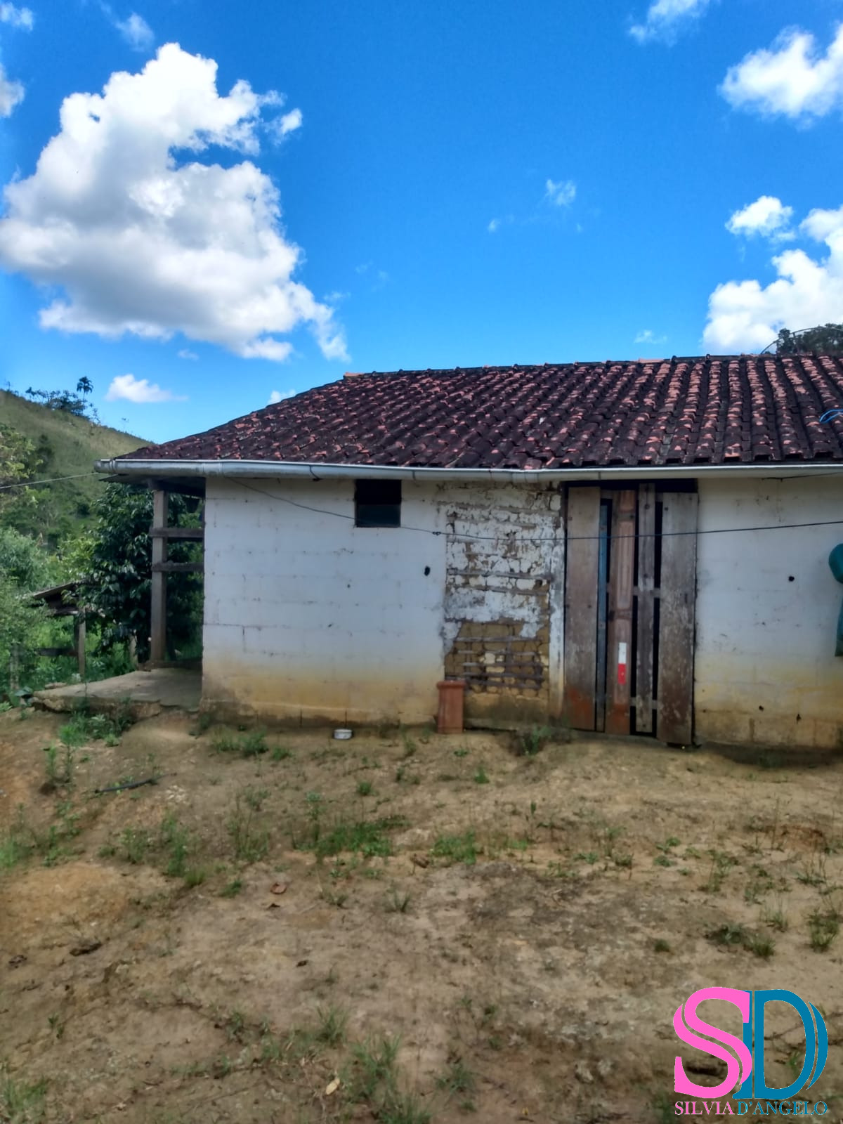 Fazenda à venda com 2 quartos, 122500m² - Foto 4