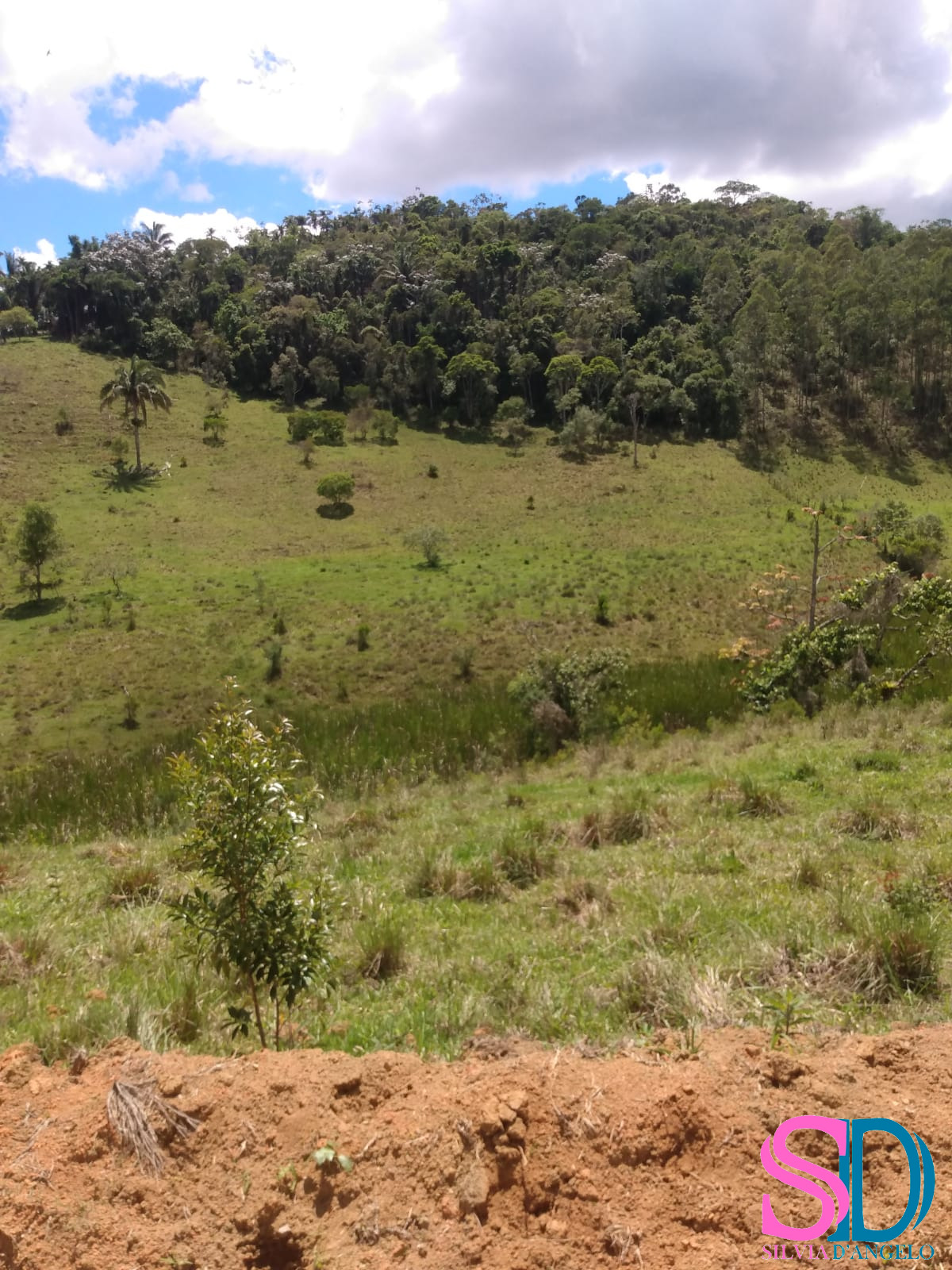 Fazenda à venda com 2 quartos, 122500m² - Foto 2