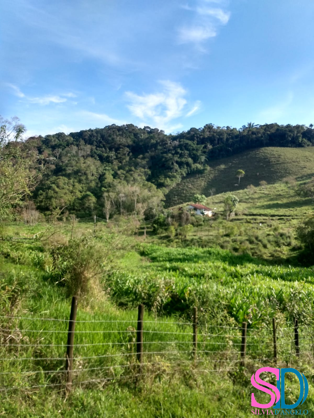 Fazenda à venda com 2 quartos, 122500m² - Foto 1