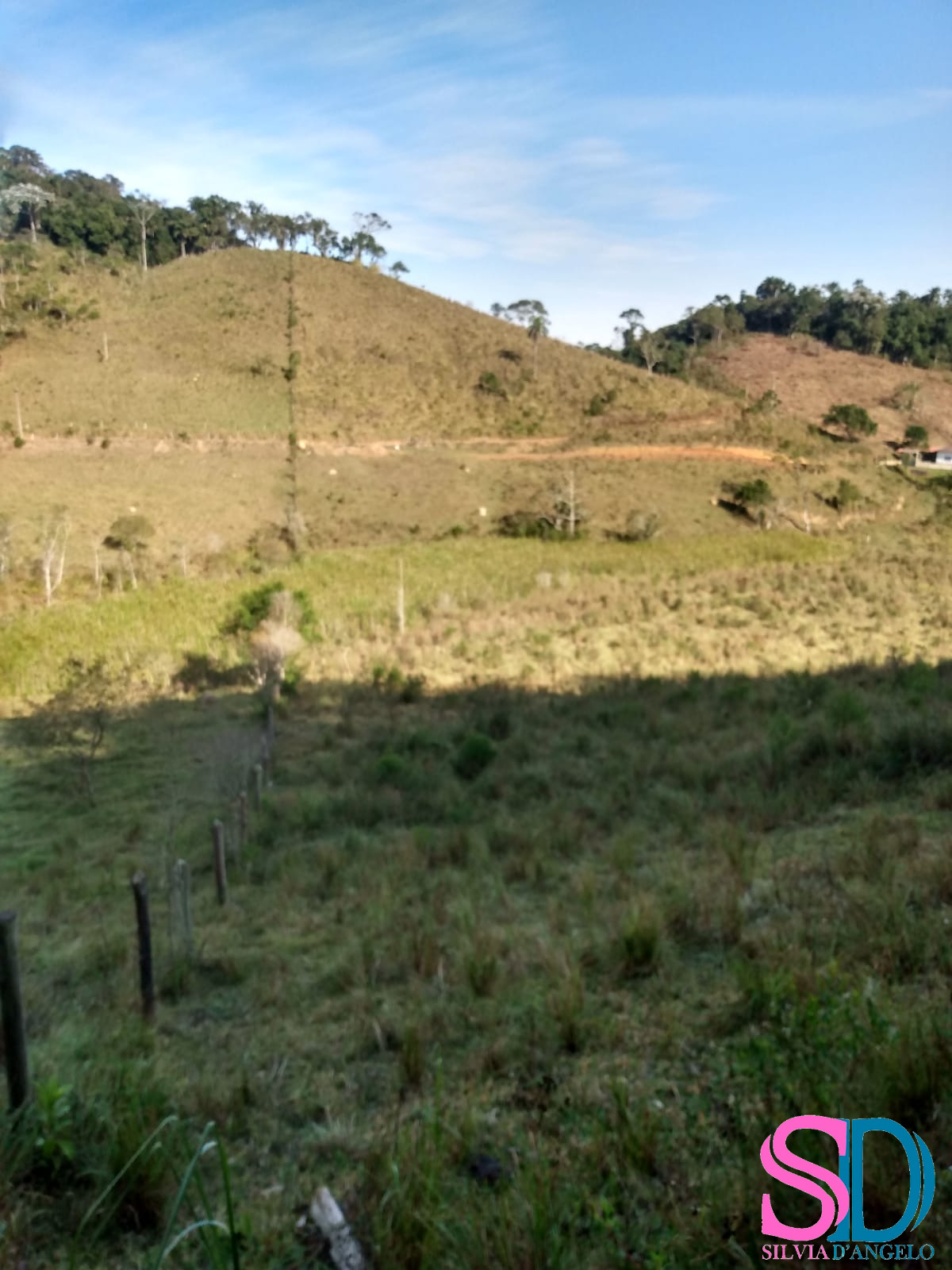 Fazenda à venda com 2 quartos, 122500m² - Foto 6