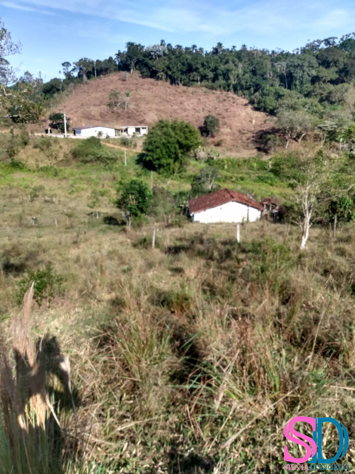 Fazenda à venda com 2 quartos, 122500m² - Foto 5