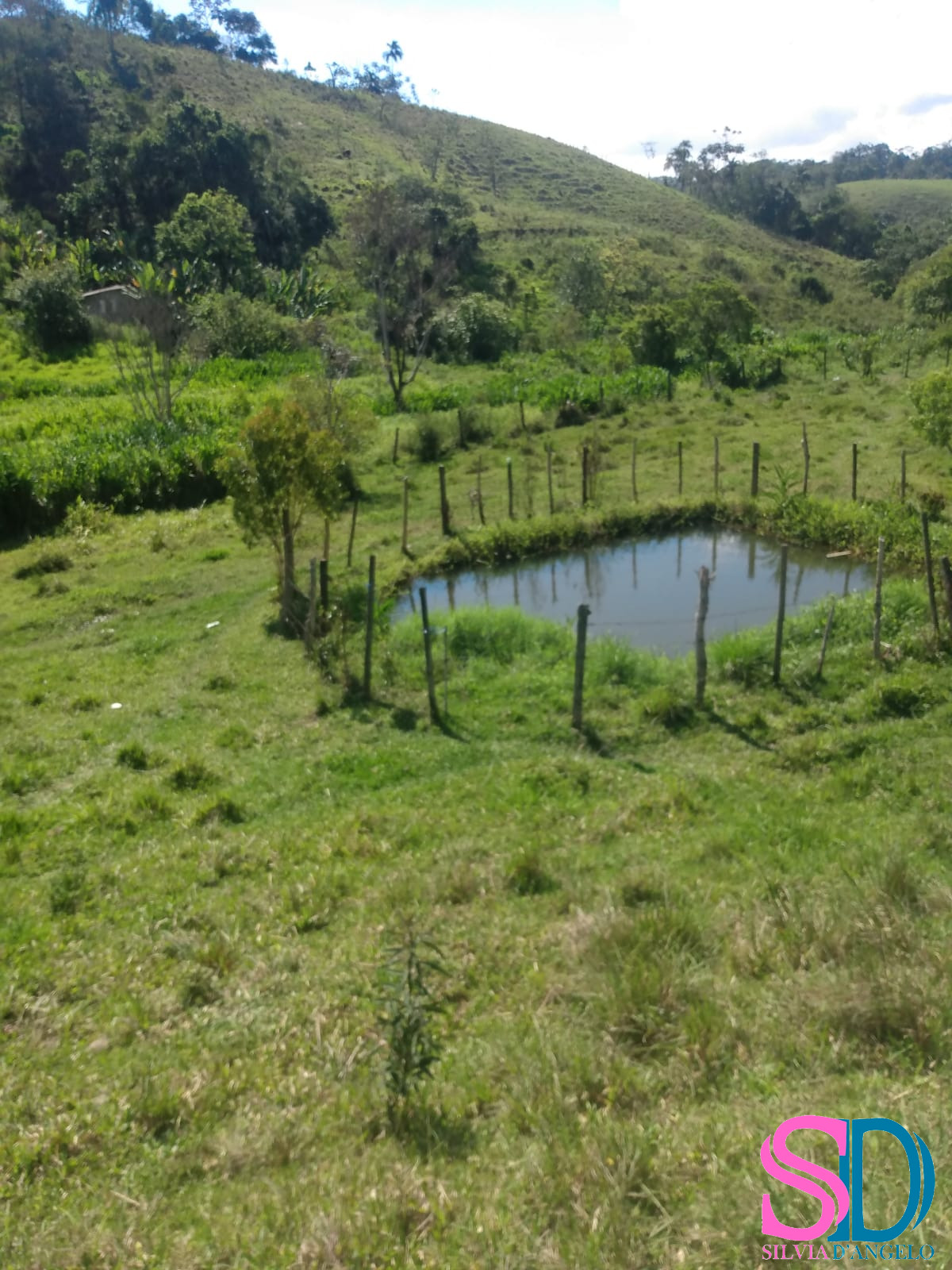 Fazenda à venda com 2 quartos, 122500m² - Foto 3